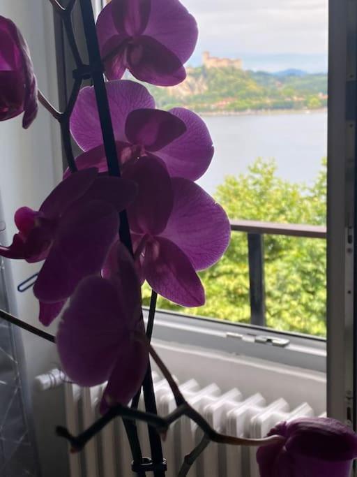 Babalu Con Vista Lago Arona Bagian luar foto